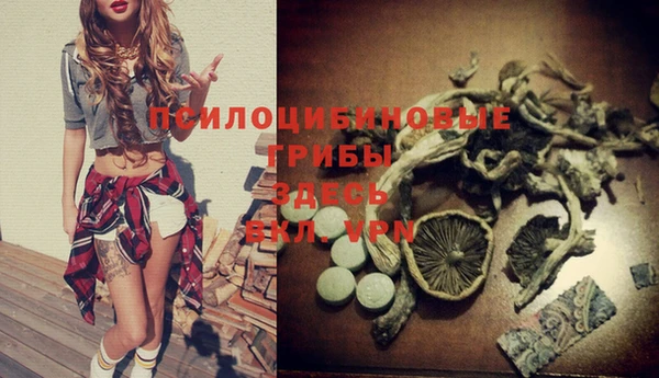 прущие грибы Краснослободск