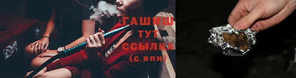 прущие грибы Коряжма