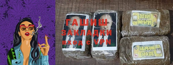 прущие грибы Коряжма