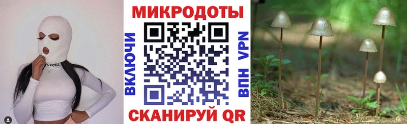 Псилоцибиновые грибы MAGIC MUSHROOMS  Купить закладки  Красноярск 